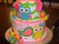 Cakes 2017 (1637)