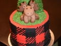 Cakes 2017 (871)