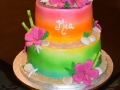Cakes 2018 (798)