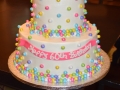 Cake_2016 (241)