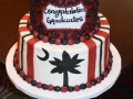Cake_2016 (321)