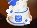 Cake_2016 (330)