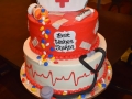Cake_2016 (6)