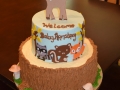 Cake_2016 (907)