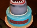 Cake_2016 (97)