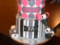 Cake_2016 (973)