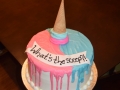 Cakes 2017 (2242)