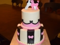 Cakes 2017 (2427)