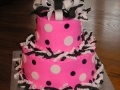 special occasion (21)