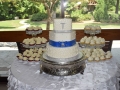 Cake_2016 (424)