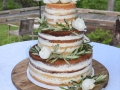 Cake_2016 (432)