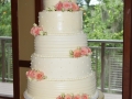 Cake_2016 (466)