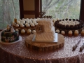 Cakes 2017 (916)
