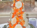 Cakes 2017 (985)
